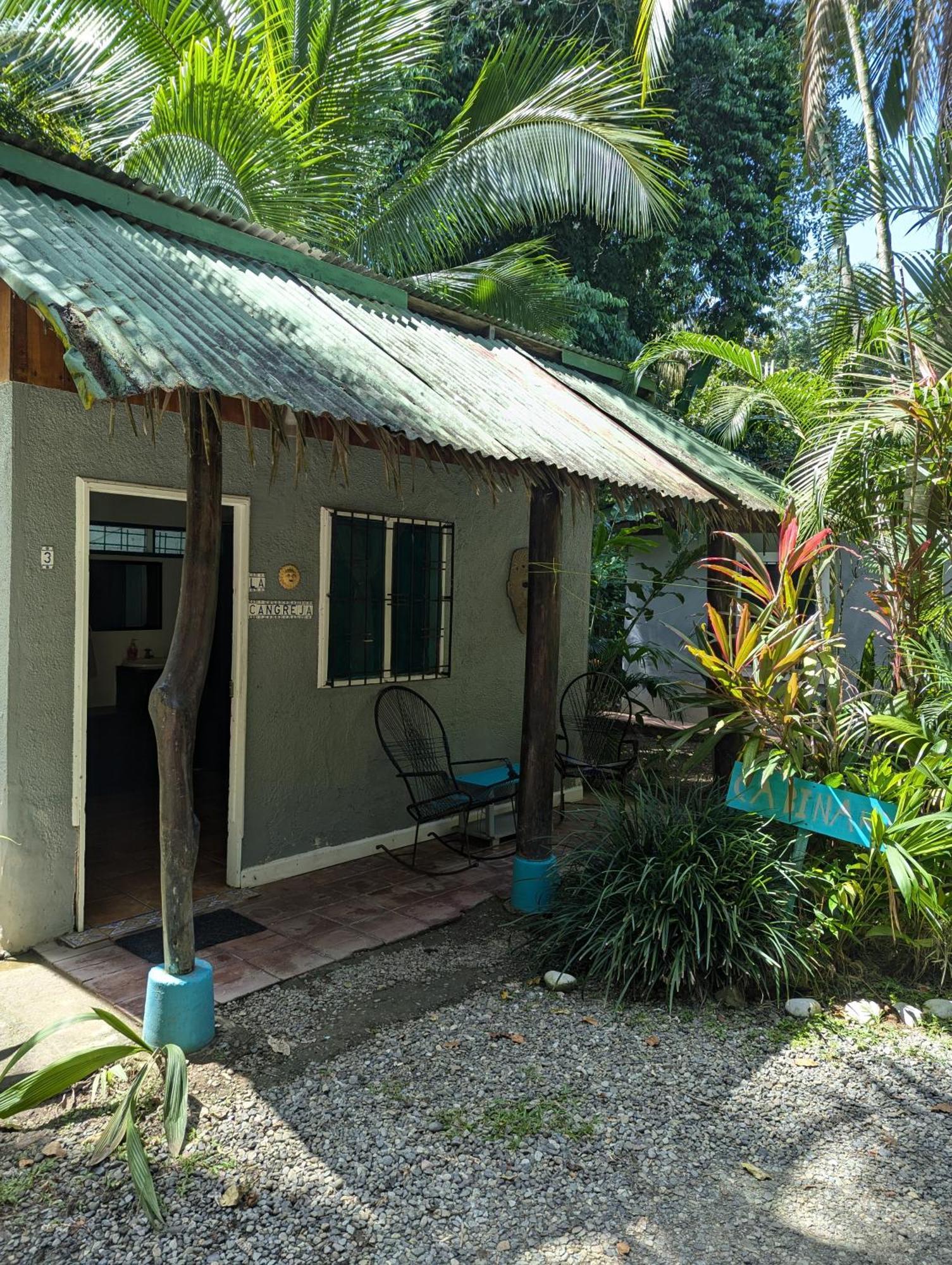 Tasty Dayz Hostel Puerto Viejo de Talamanca Екстериор снимка