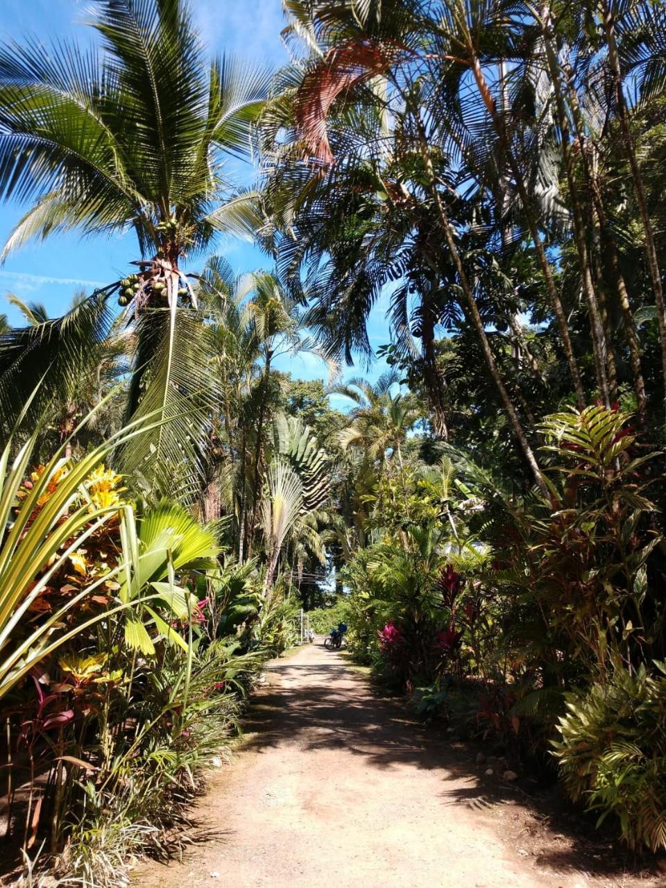 Tasty Dayz Hostel Puerto Viejo de Talamanca Екстериор снимка