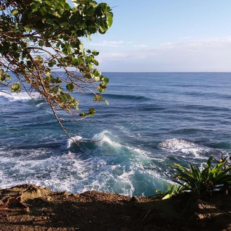 Tasty Dayz Hostel Puerto Viejo de Talamanca Екстериор снимка