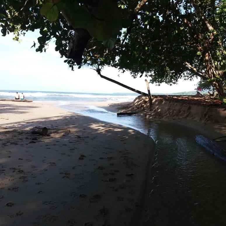 Tasty Dayz Hostel Puerto Viejo de Talamanca Екстериор снимка