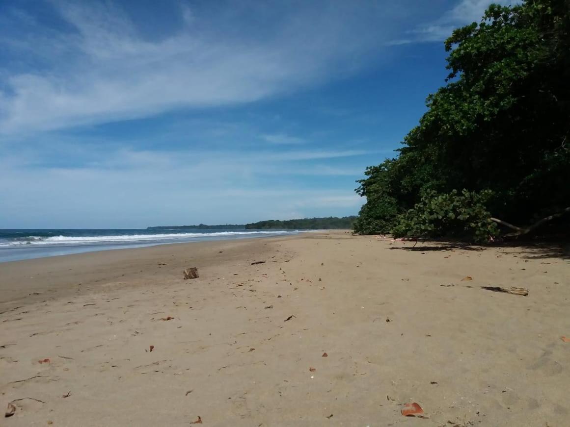 Tasty Dayz Hostel Puerto Viejo de Talamanca Екстериор снимка