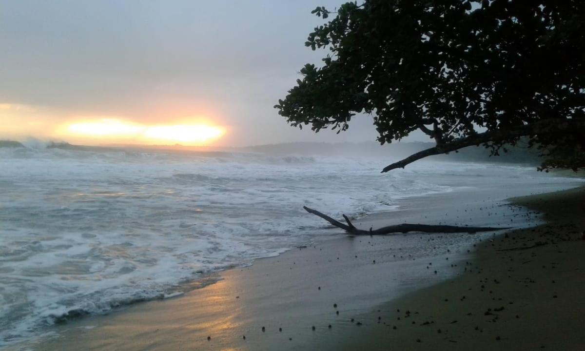 Tasty Dayz Hostel Puerto Viejo de Talamanca Екстериор снимка