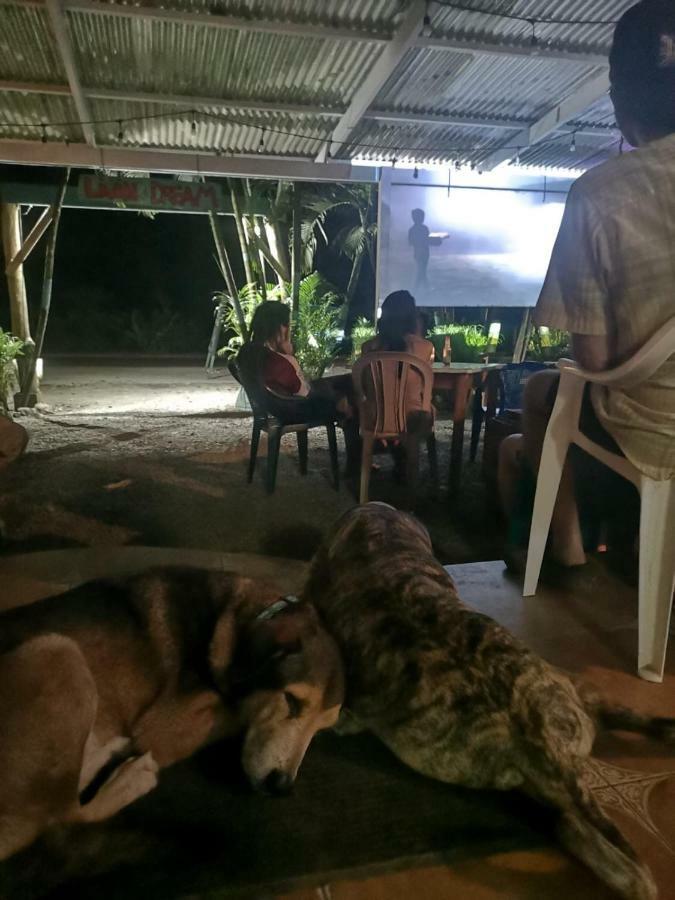 Tasty Dayz Hostel Puerto Viejo de Talamanca Екстериор снимка