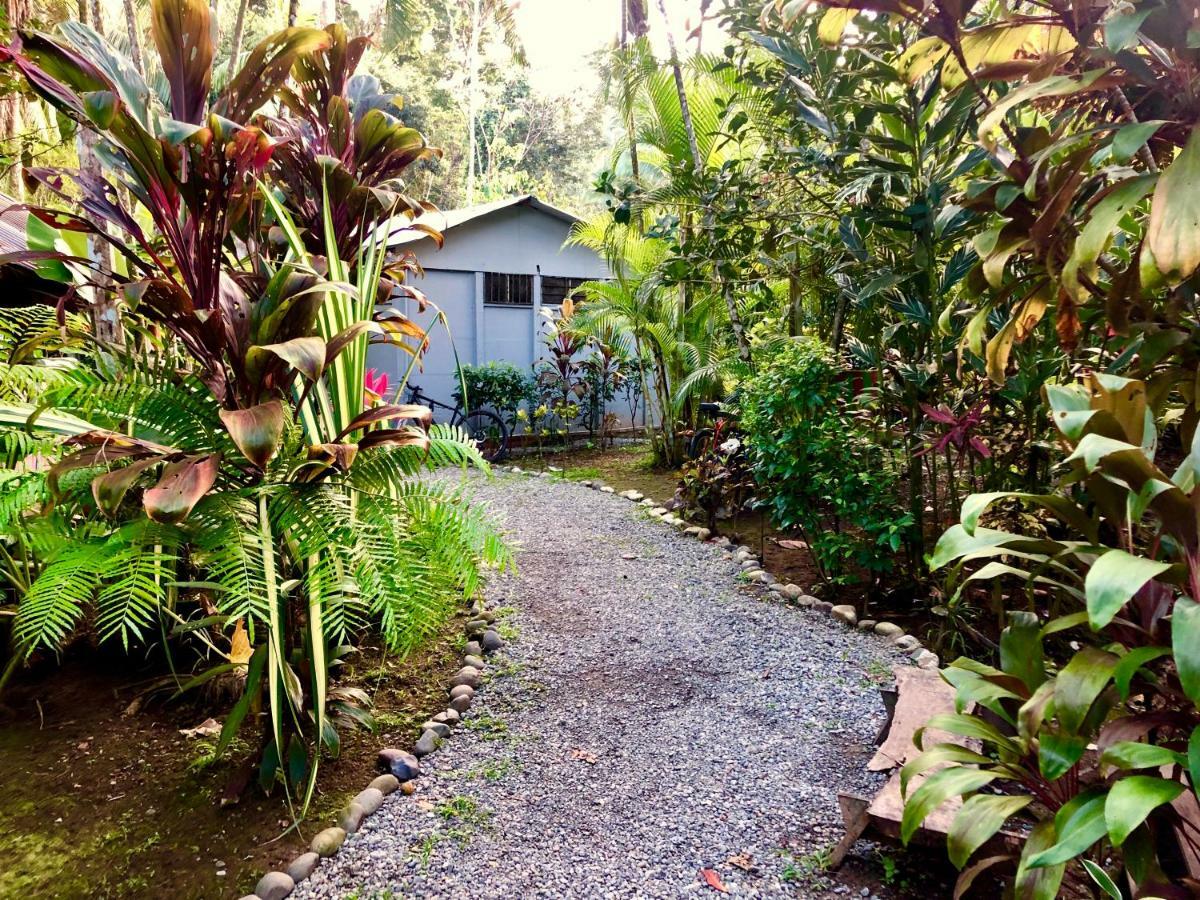 Tasty Dayz Hostel Puerto Viejo de Talamanca Екстериор снимка