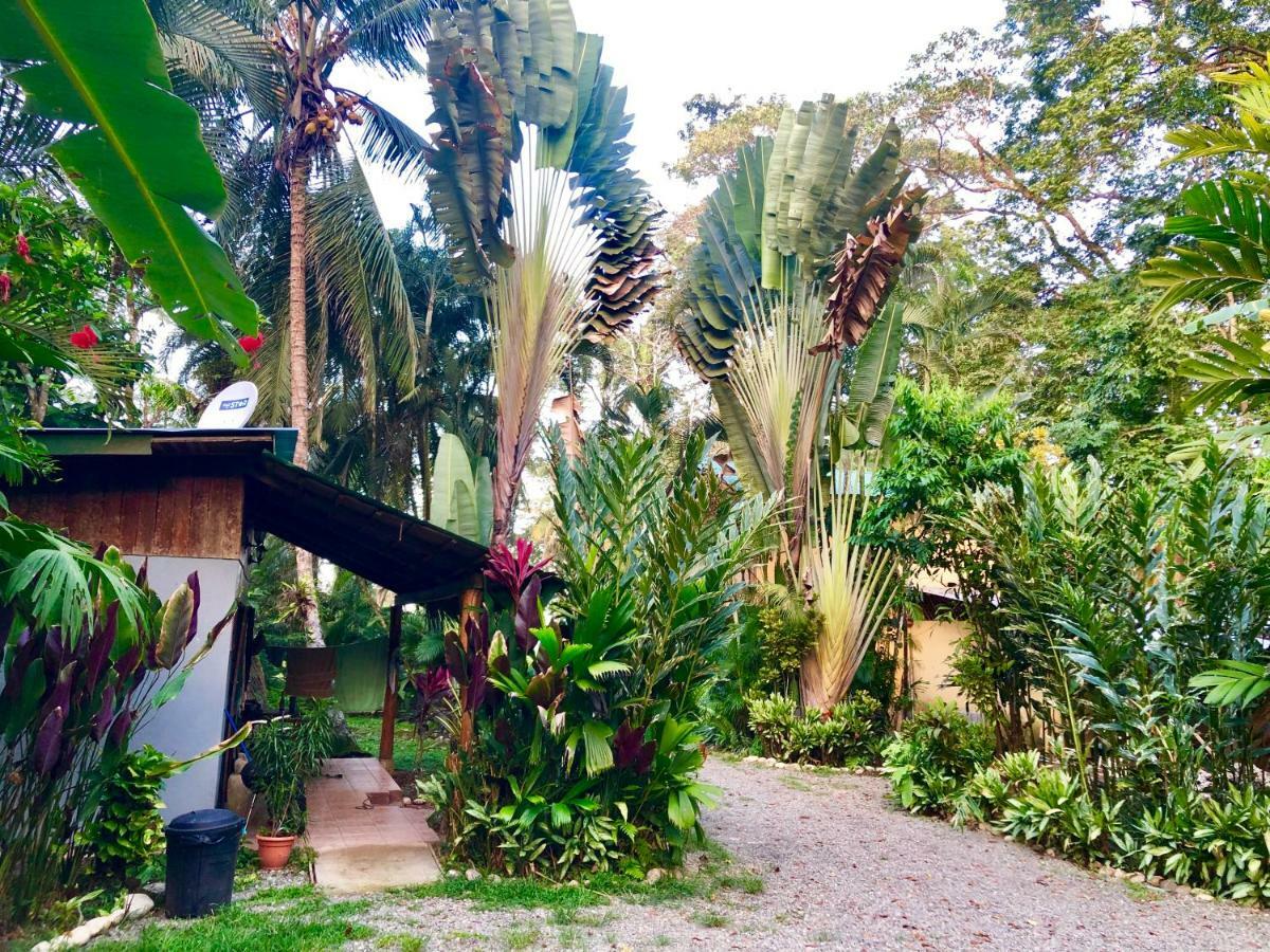 Tasty Dayz Hostel Puerto Viejo de Talamanca Екстериор снимка