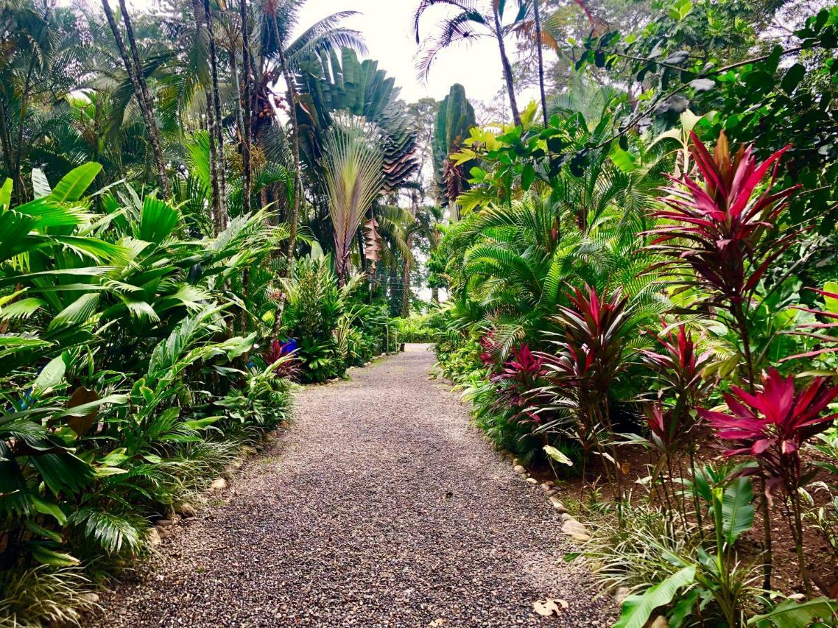 Tasty Dayz Hostel Puerto Viejo de Talamanca Екстериор снимка