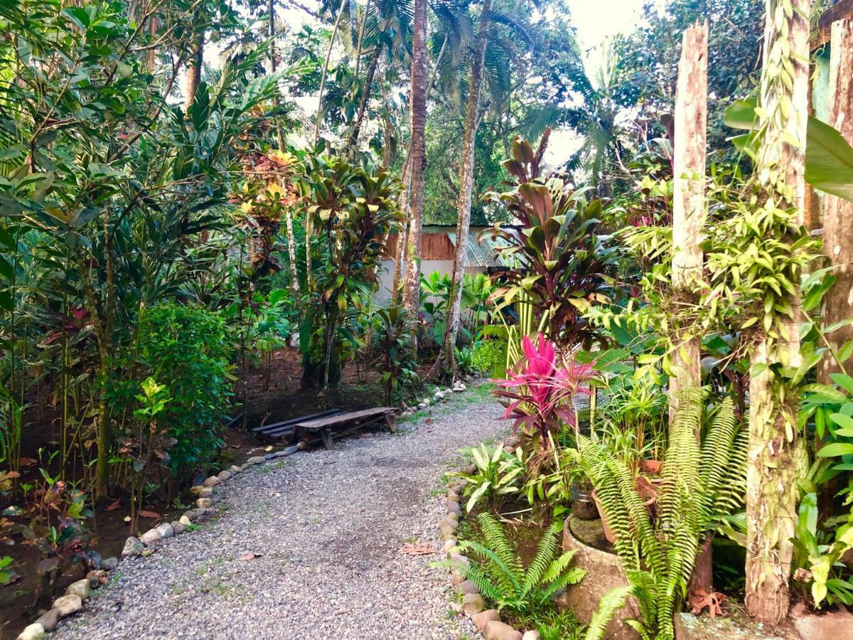 Tasty Dayz Hostel Puerto Viejo de Talamanca Екстериор снимка